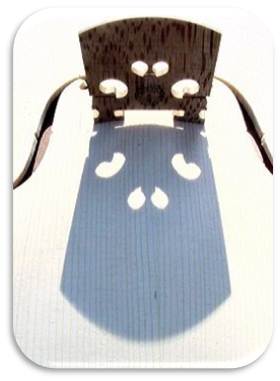 violon11 e-a.ir