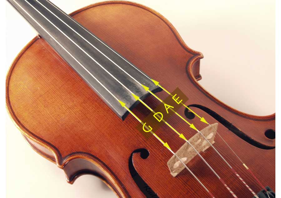 violon120 e-a.ir