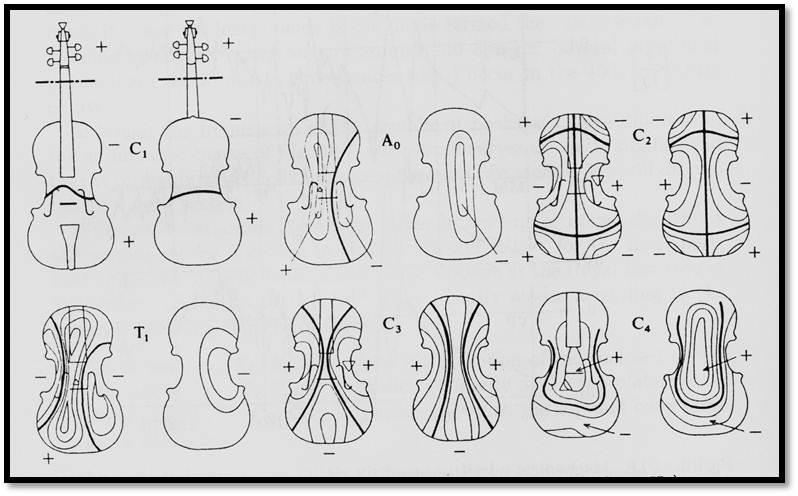 violon21 e-a.ir