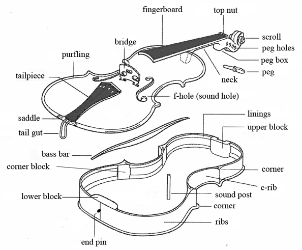 violon5 e-a.ir