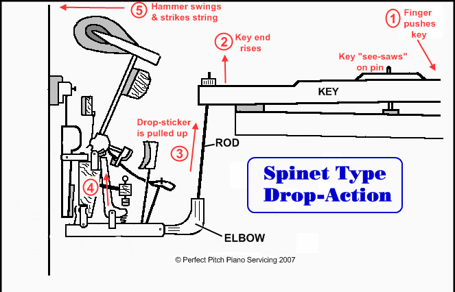 spinetAction1