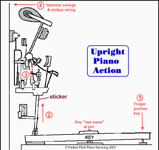 uprightAction1